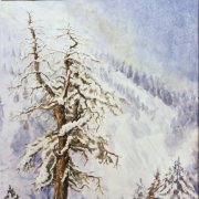 Baum im Schnee 47x32 Aquarell